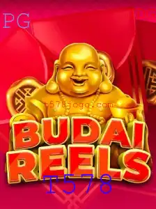 Descubra o Fascinante Mundo de BudaiReels